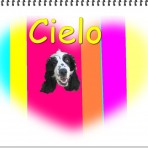 Cielo